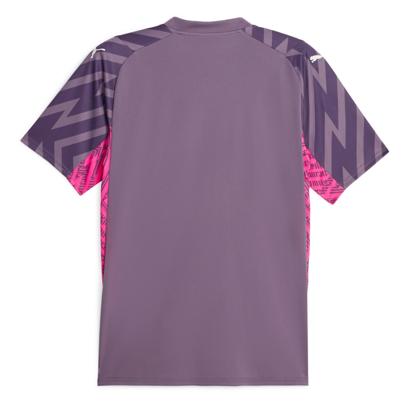 Manchester City Goalkeeper Puma  2023-24 - Purple